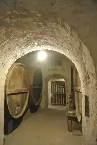 Il Cavalluccio Marino Fronte Mare - 19