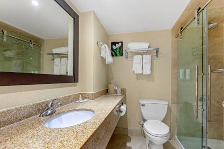 Quality Inn & Suites - 43