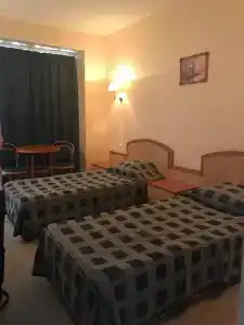 Lilia - 51