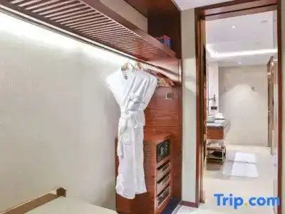 Wyndham Grand Plaza Royale Chongqing - 71