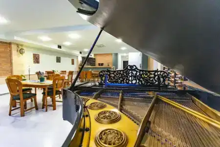 Lileo - 1