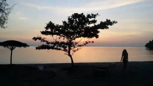 The Last Point - 24