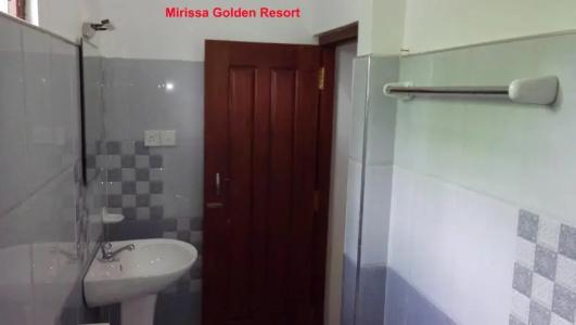 Mirissa Golden - 33