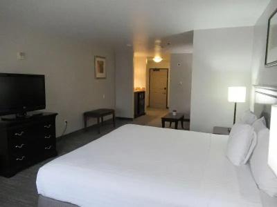 Country Inn & Suites by Radisson, at Mills, CA - 53