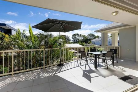 Noosa River Palms - 233