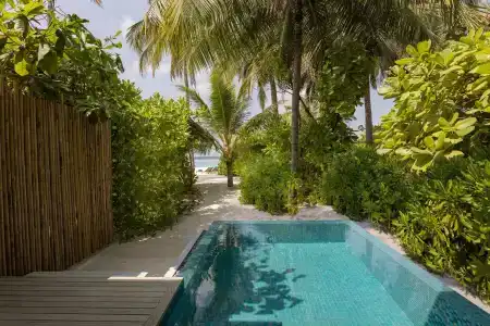 Avani+ Fares Maldives Resort - 31