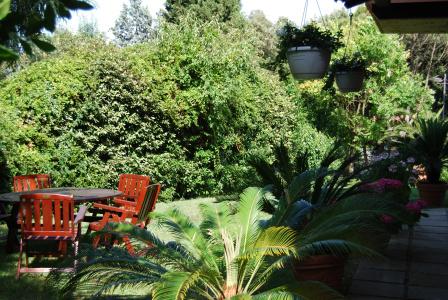 Residenze Al Colle Dei Pini - 12