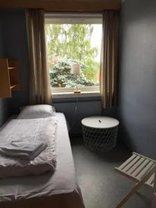 Hedmarktoppen - 21