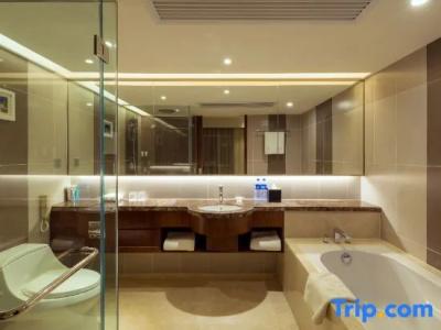 Grand Skylight Catic - 132