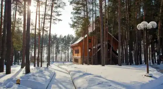Демидково - 4