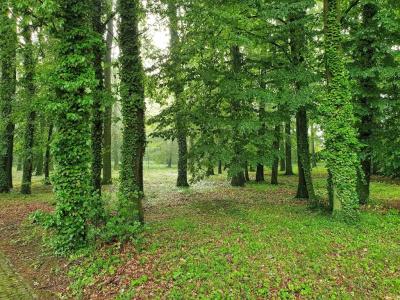 Stacja Nowa Gdynia Bed & Breakfast - 1