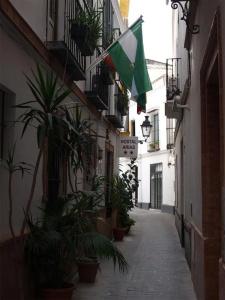 Arias - 14