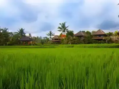 Amatara Agung Raka - 3