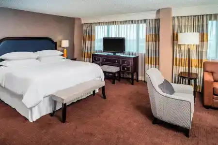 Sheraton North Houston at George Bush Intercontinental - 68