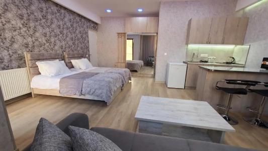 Gudauri Winter House - 54