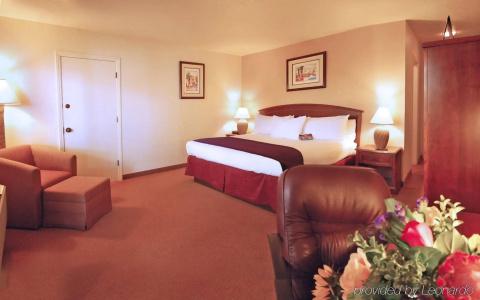 Palm Mountain & Spa - 5