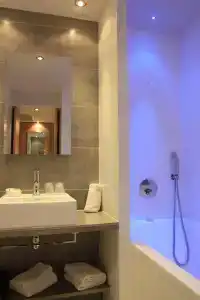 Best Western Plus Le Lavarin - 41