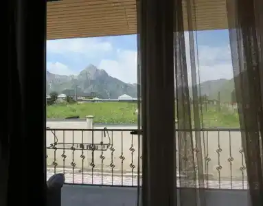 Bibos kokhi - 5
