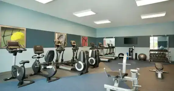 Four Points by Sheraton Miami Airport - 20