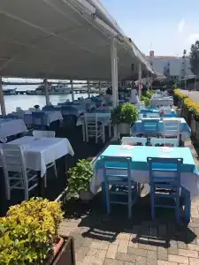 Butik Akvaryum - 16