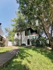 Vorona - 44