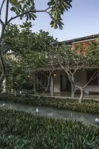 The Frangipani Tree by Edwards Collection - 50