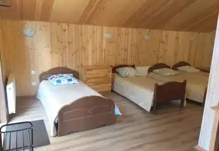 Зеленый бор - 4