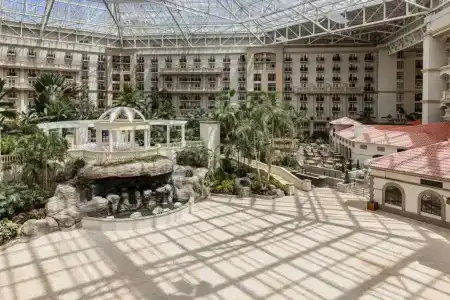 Gaylord Palms Resort & Convention Center - 0