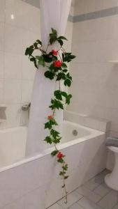 Astir Palace - 45
