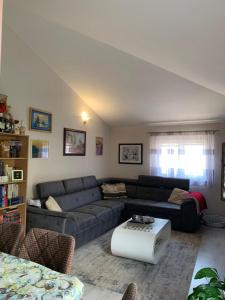 Guest House Mudresa - 11
