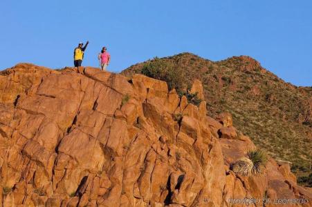 SpringHill Suites by Marriott - 24