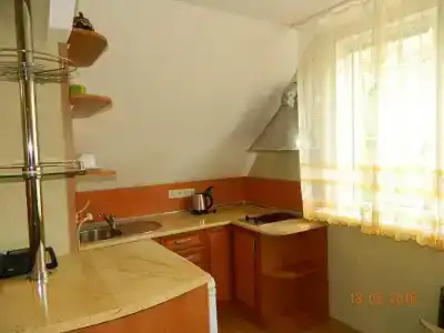 Белый лебедь - 60