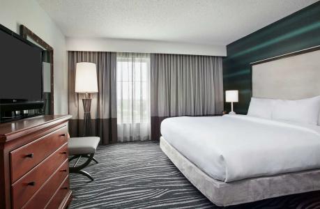 Embassy Suites Orlando - Airport - 6