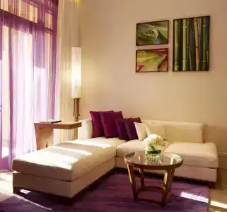 Sofitel The Palm, Дубай, Курорт и Спа - 11