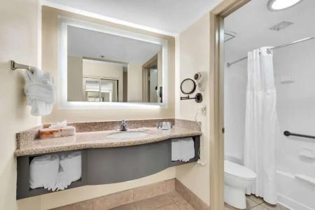 Best Western Orlando Gateway - 86