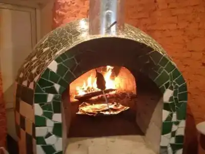 Диодон - 20