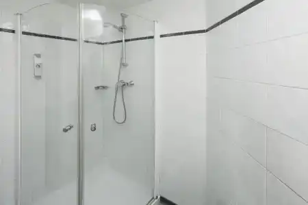 Ibis - 100