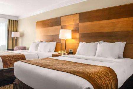 Comfort Inn & Suites - 41
