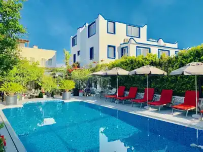 Artunc Bodrum - 0