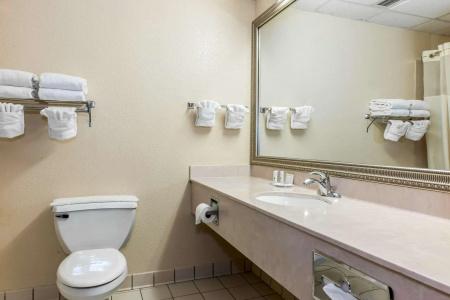 Clarion Inn & Suites Northwest - 9