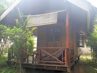 Chiang Dao Hut - 58