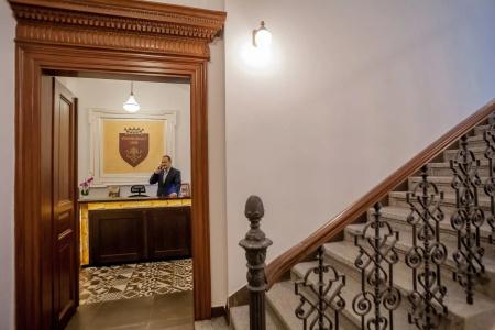 Vinohradsky dum - 1