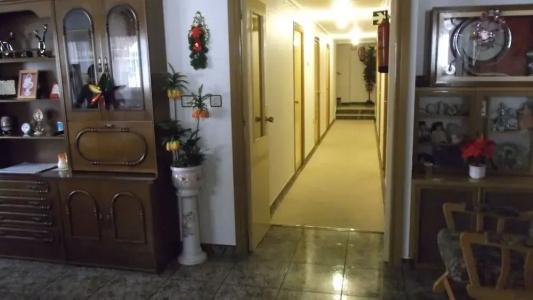Arce - 11