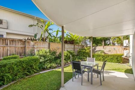 Noosa River Palms - 125