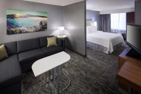 SpringHill Suites by Marriott ParkCenter - 40