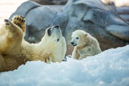 Sea World - 35