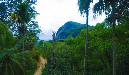 Madushanka - 14