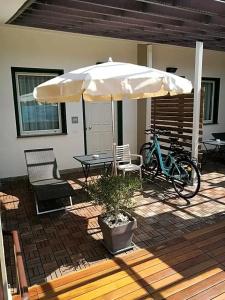 Best Western Anthurium - 64