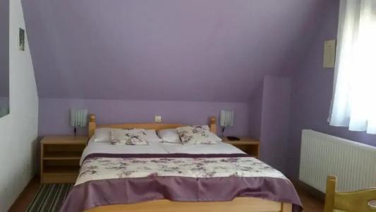 Guest House Wolf - 11