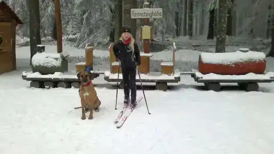 WaldRennsteighöhe - 12